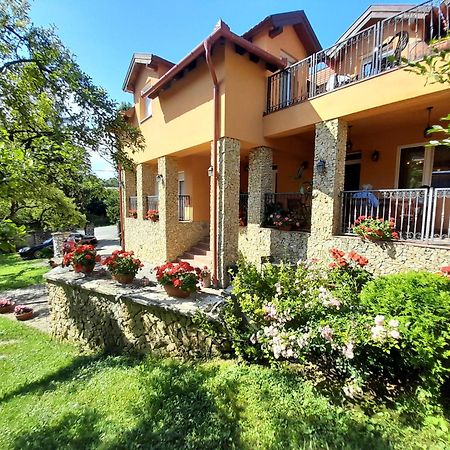 Harmonia Wellness Villa Сільвашварад Екстер'єр фото