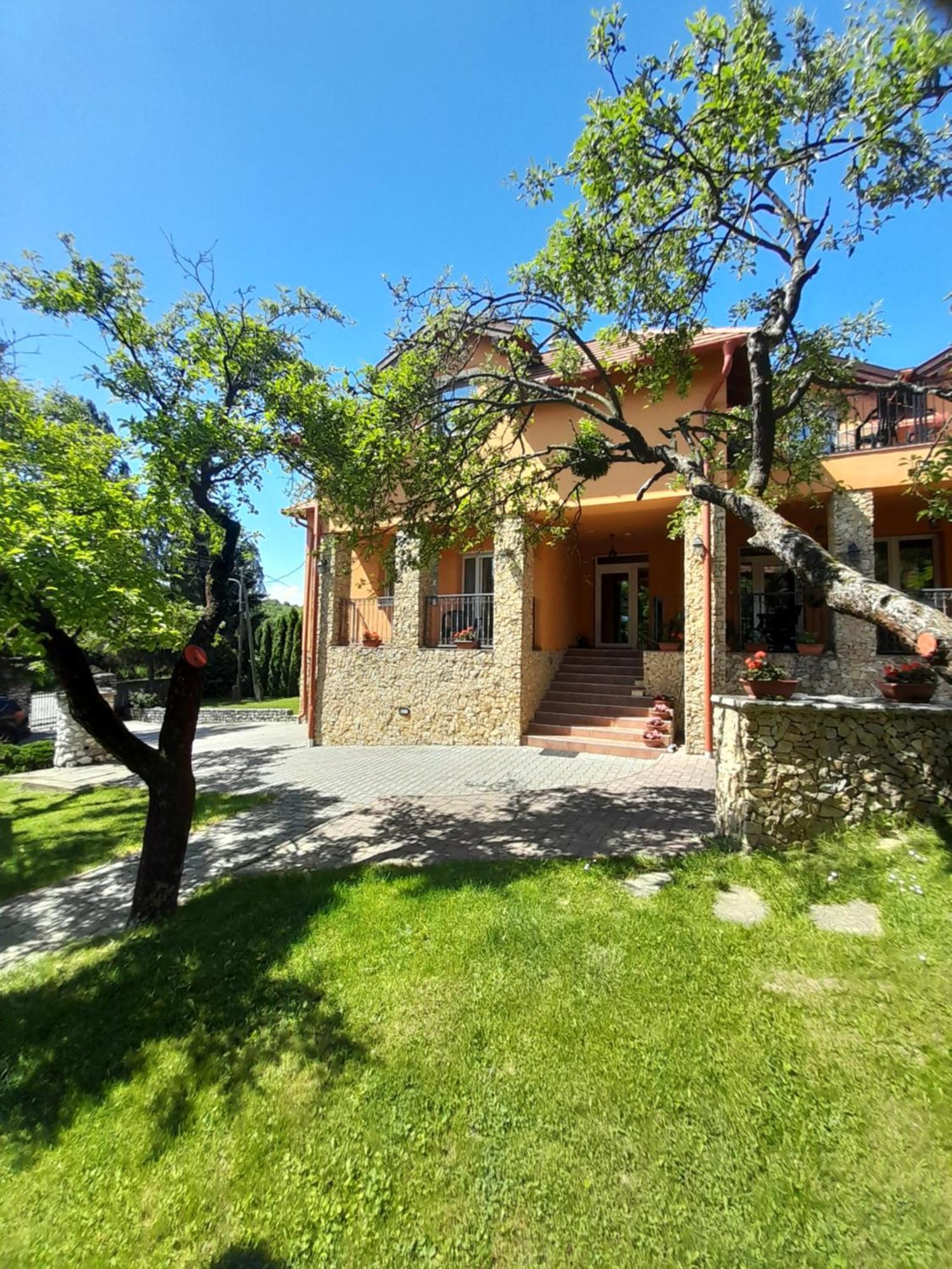 Harmonia Wellness Villa Сільвашварад Екстер'єр фото