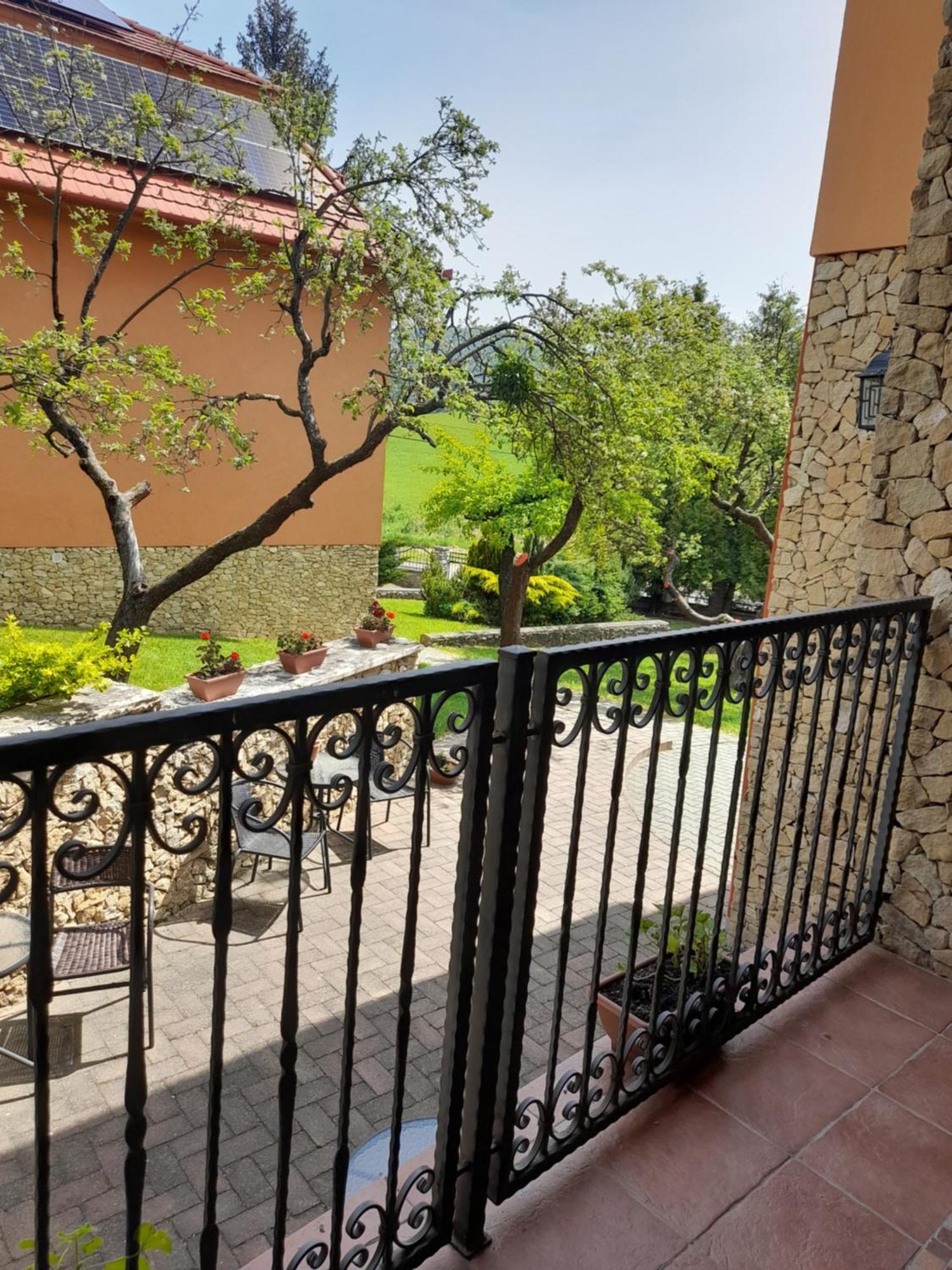Harmonia Wellness Villa Сільвашварад Екстер'єр фото