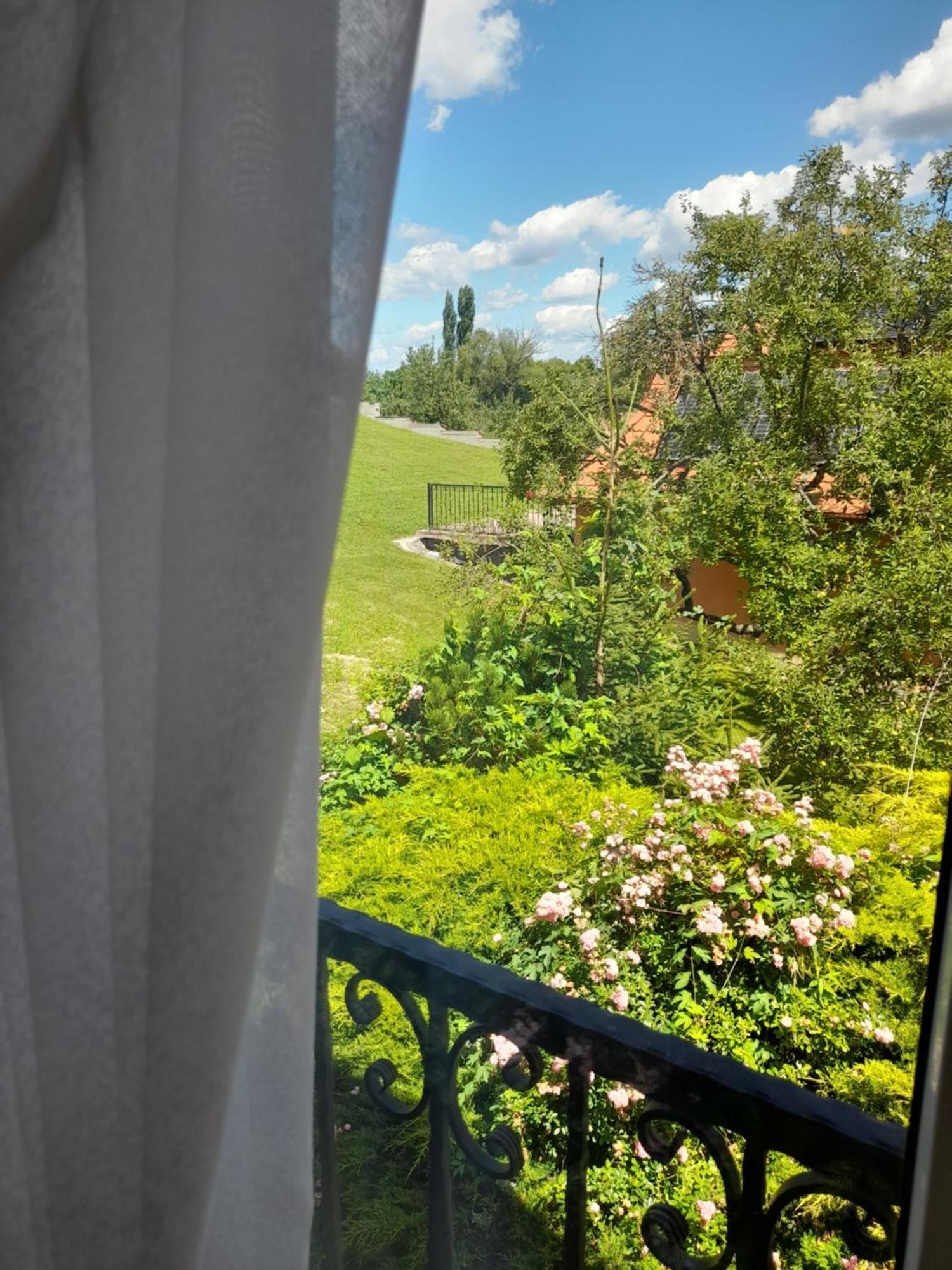 Harmonia Wellness Villa Сільвашварад Екстер'єр фото