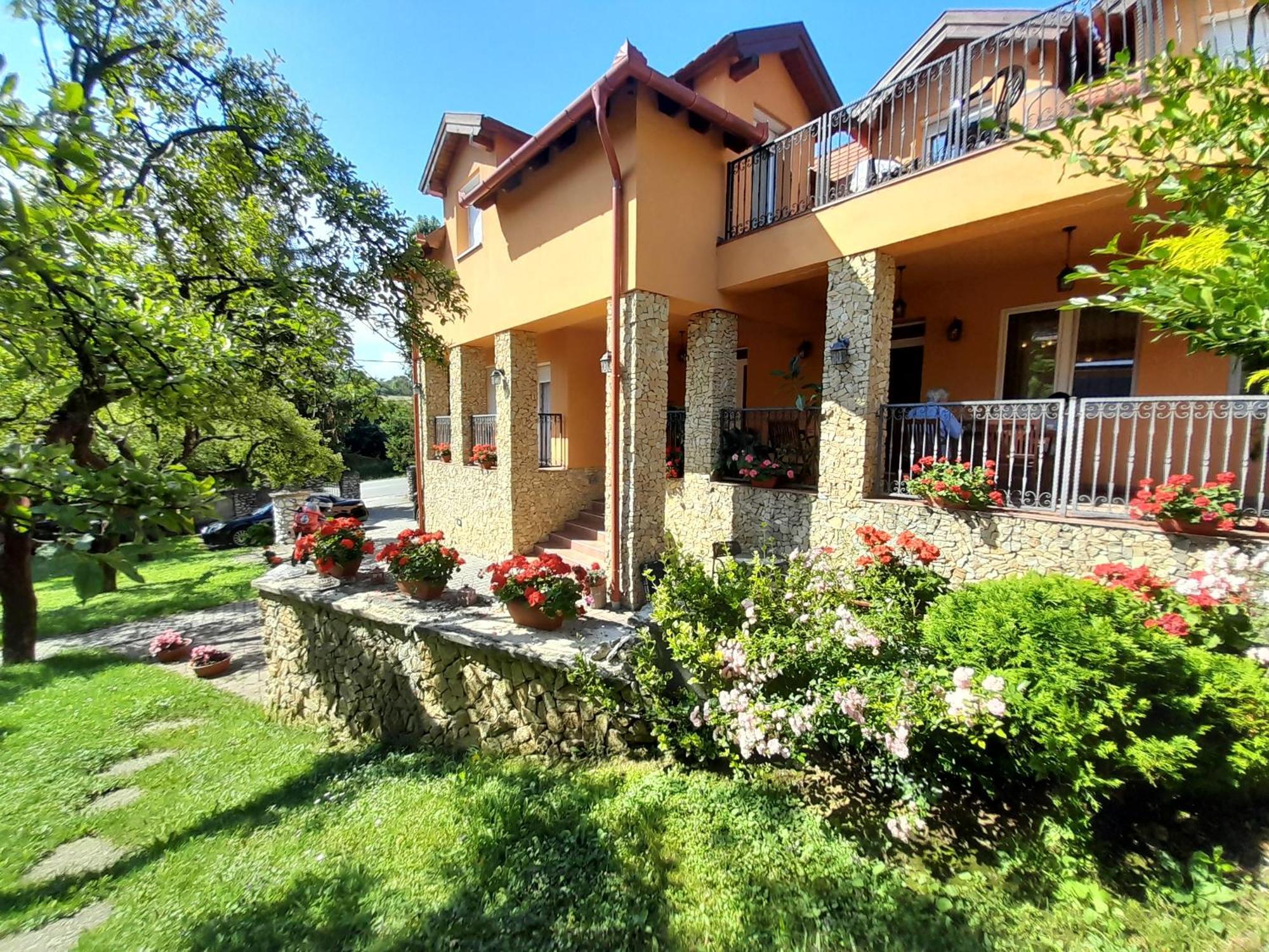 Harmonia Wellness Villa Сільвашварад Екстер'єр фото
