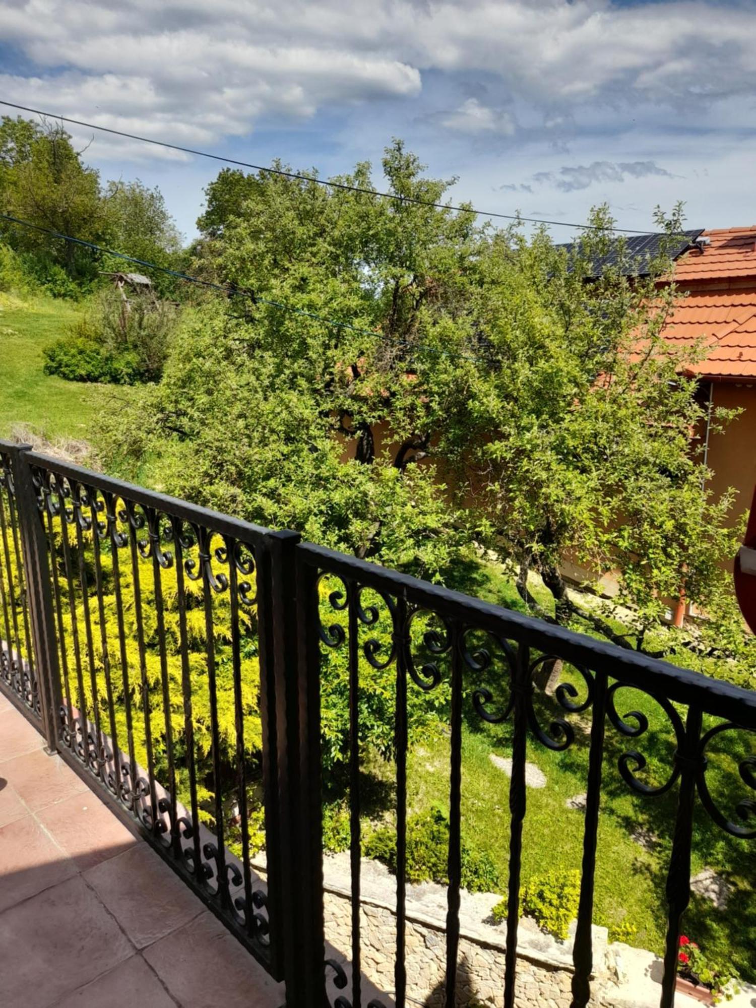 Harmonia Wellness Villa Сільвашварад Екстер'єр фото